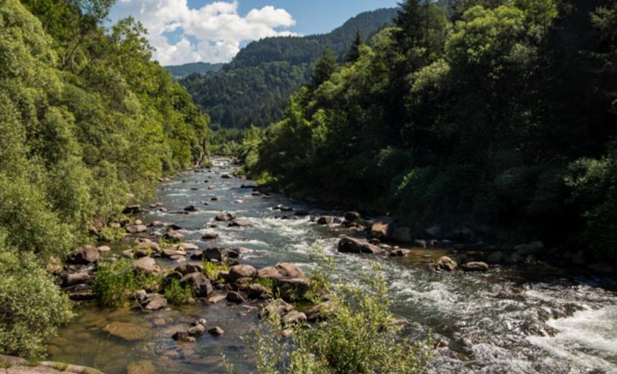 The path runs alongside the stream, which offers stunning views | © Sara Zucal, Rete di Riserve Val di Cembra Avisio The path runs alongside the stream, which offers stunning views | © Sara Zucal, Rete di Riserve Val di Cembra Avisio